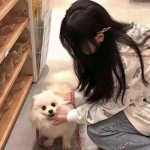 3d葫芦兄弟内购破解版下载